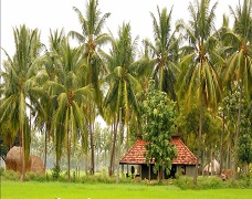 East Godavari District